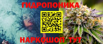 сатива Ирбит