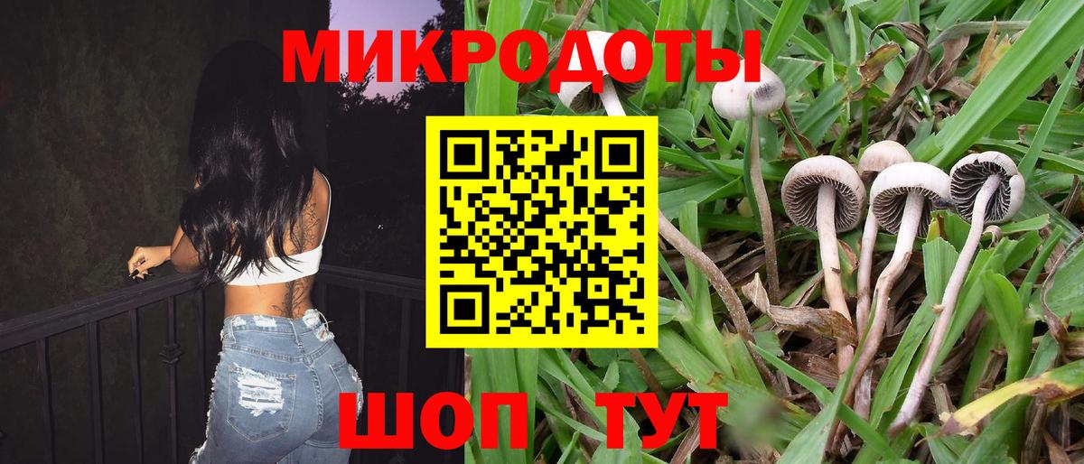 Псилоцибиновые грибы Psilocybe  Вход с VPN  Кыштым 