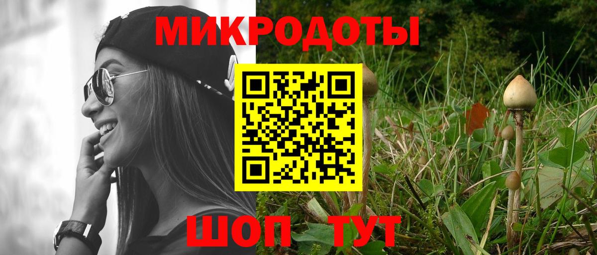 Галлюциногенные грибы Cubensis Кыштым